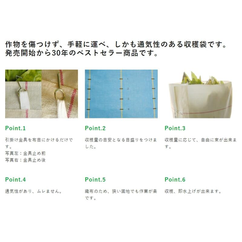 ベンリ―クロス野菜収穫布51枚セット ベンリ―クロス野菜収穫布51枚